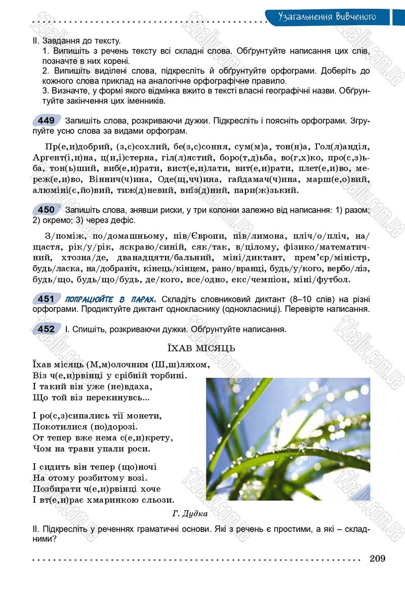 Сторінка 209 - Підручник Українська мова 9 клас Заболотний 2017 - скачати онлайн