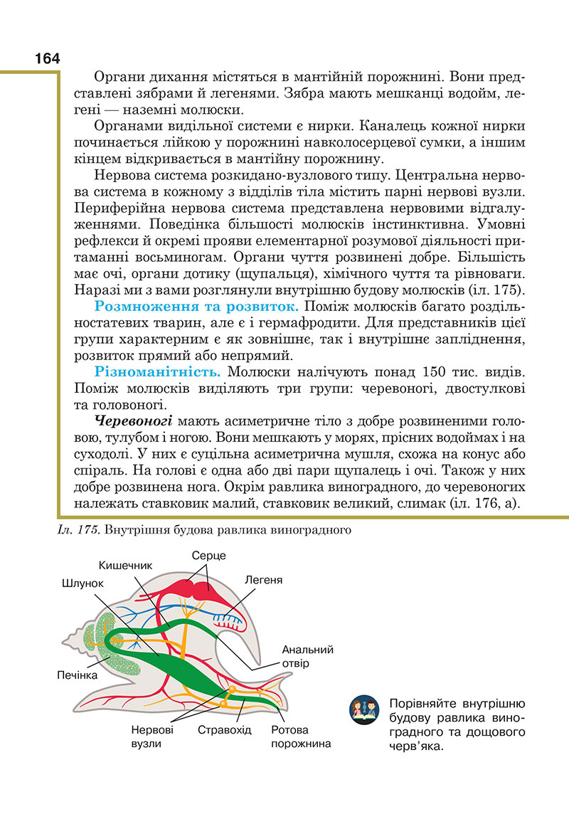 Сторінка 164 - Підручник Біологія 7 клас Андерсон Вихренко 2024 - НУШ