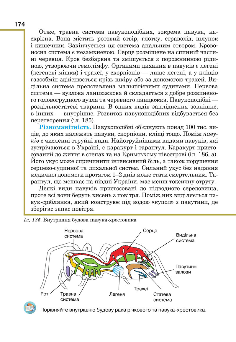 Сторінка 174 - Підручник Біологія 7 клас Андерсон Вихренко 2024 - НУШ