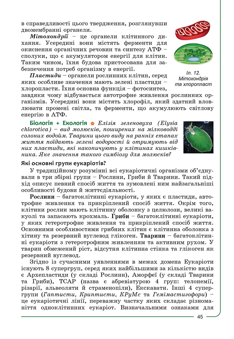 Сторінка 45 - Підручник Біологія 7 клас Соболь 2024 - НУШ