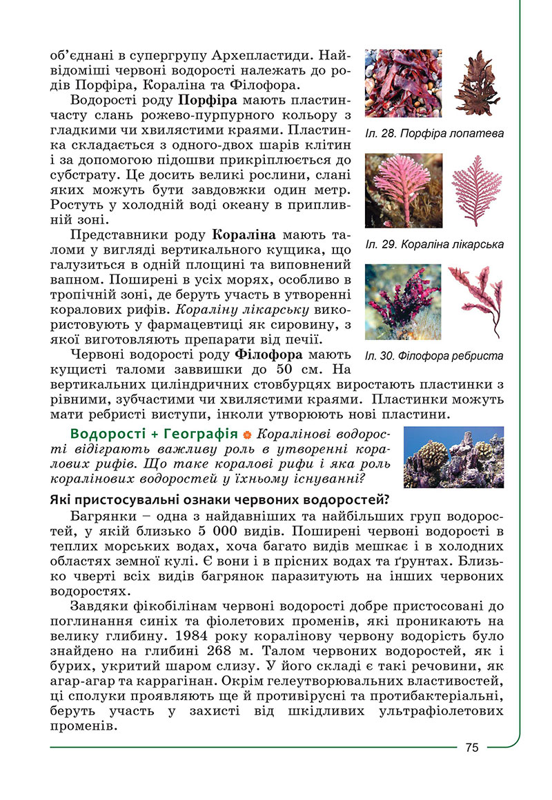 Сторінка 75 - Підручник Біологія 7 клас Соболь 2024 - НУШ