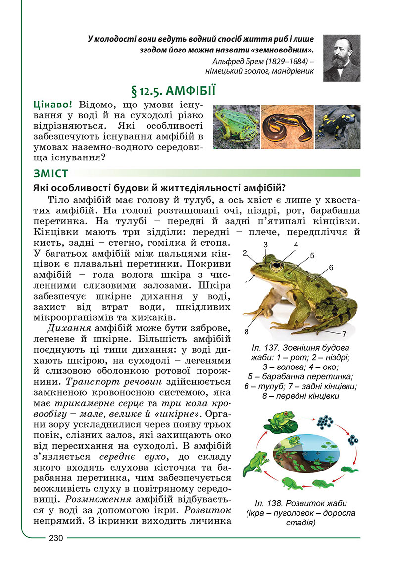 Сторінка 230 - Підручник Біологія 7 клас Соболь 2024 - НУШ