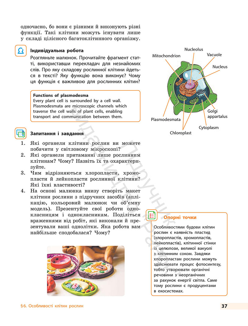 Сторінка 37 - Підручник Біологія 7 клас Тагліна Самойлов 2024