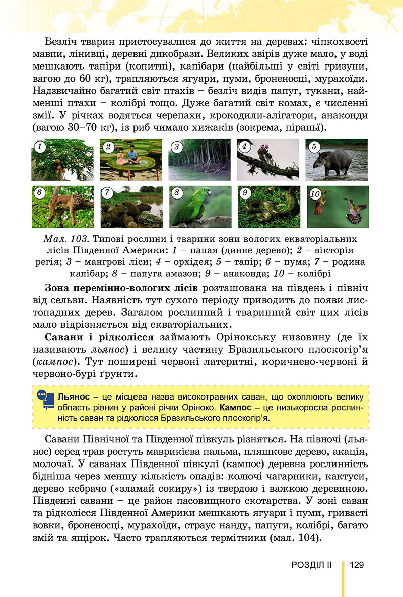 Сторінка 129 - Підручник Географія 7 клас Безуглий Лисичарова 2024