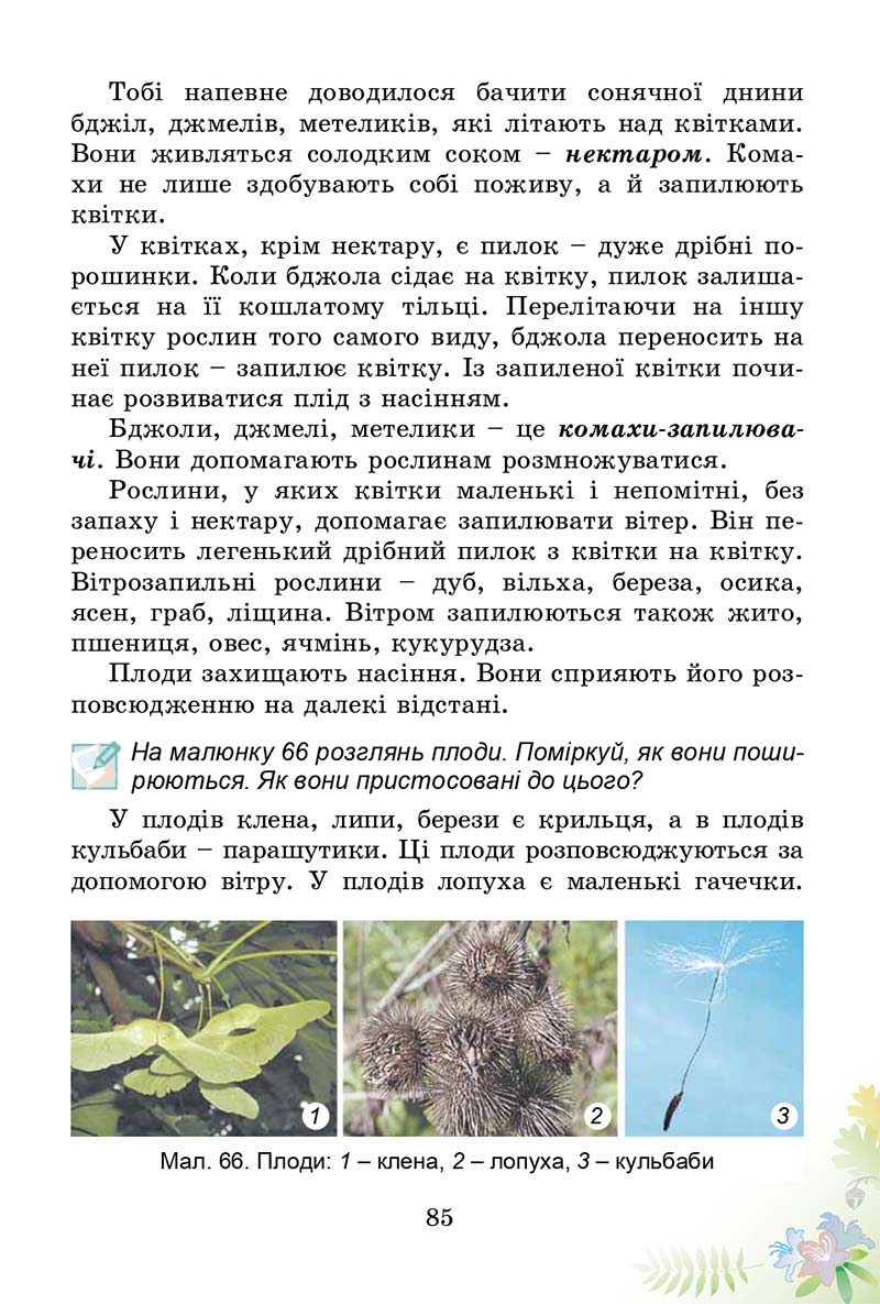Сторінка 85 - Підручник Природознавство 3 клас Т.Г. Гільберг, Т.В. Сак 2014