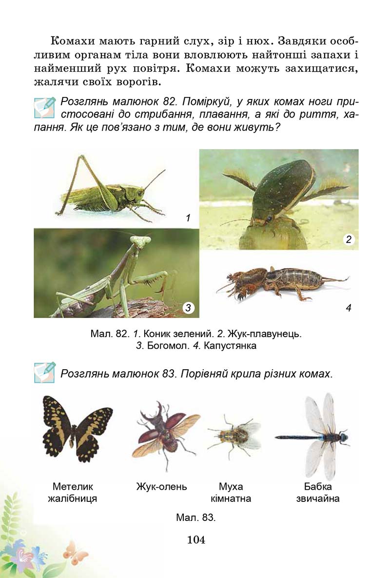 Сторінка 104 - Підручник Природознавство 3 клас Т.Г. Гільберг, Т.В. Сак 2014
