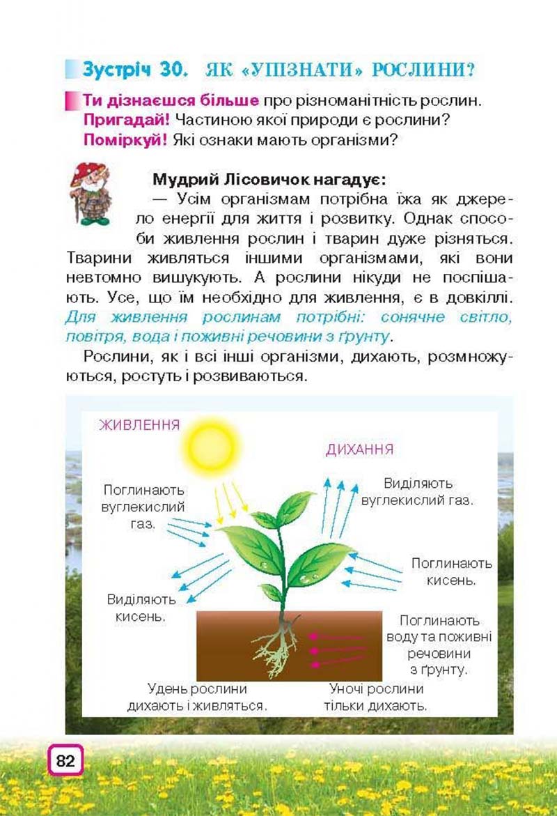 Сторінка 82 - Підручник Природознавство 3 клас І.В. Грущинська 2013