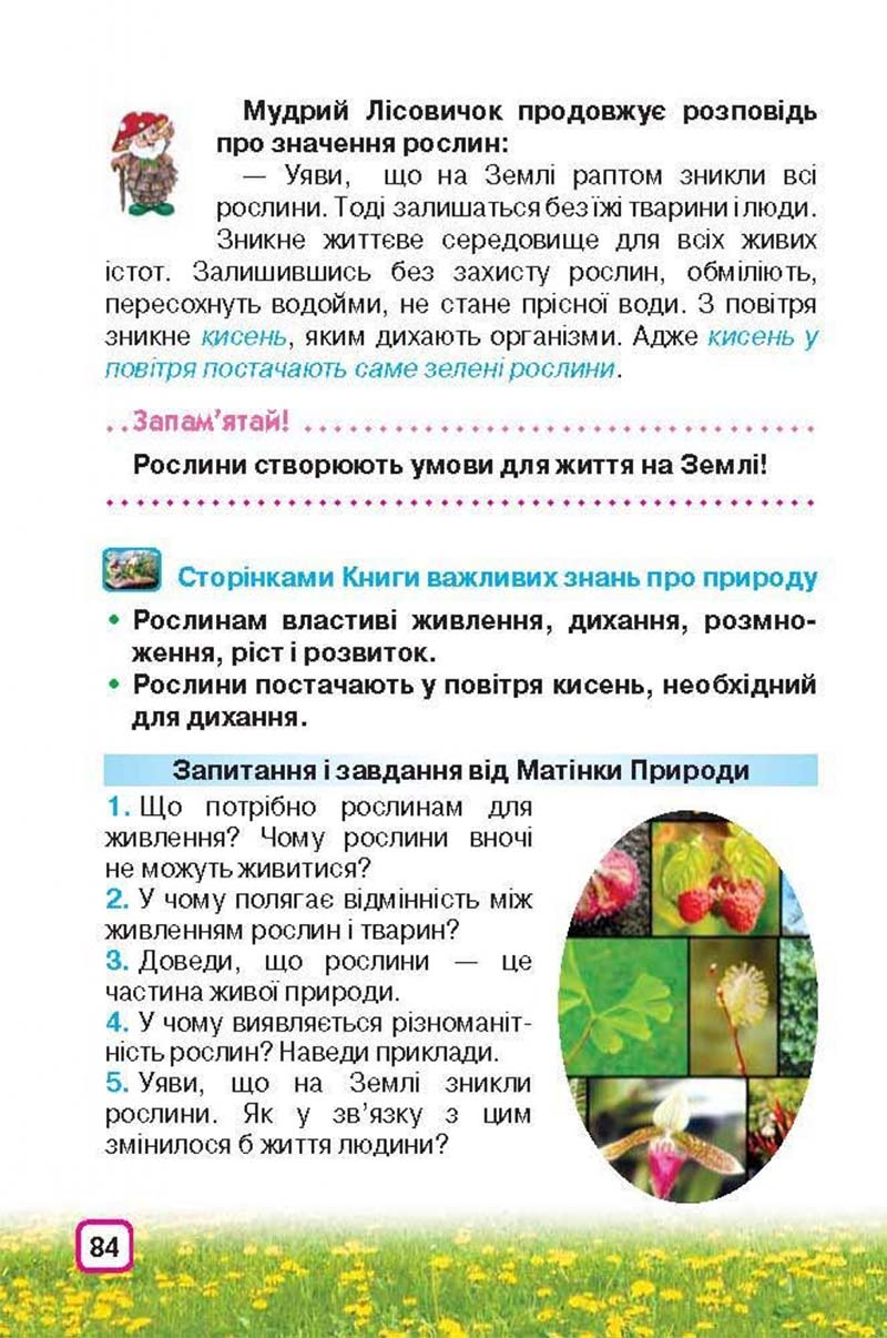 Сторінка 84 - Підручник Природознавство 3 клас І.В. Грущинська 2013