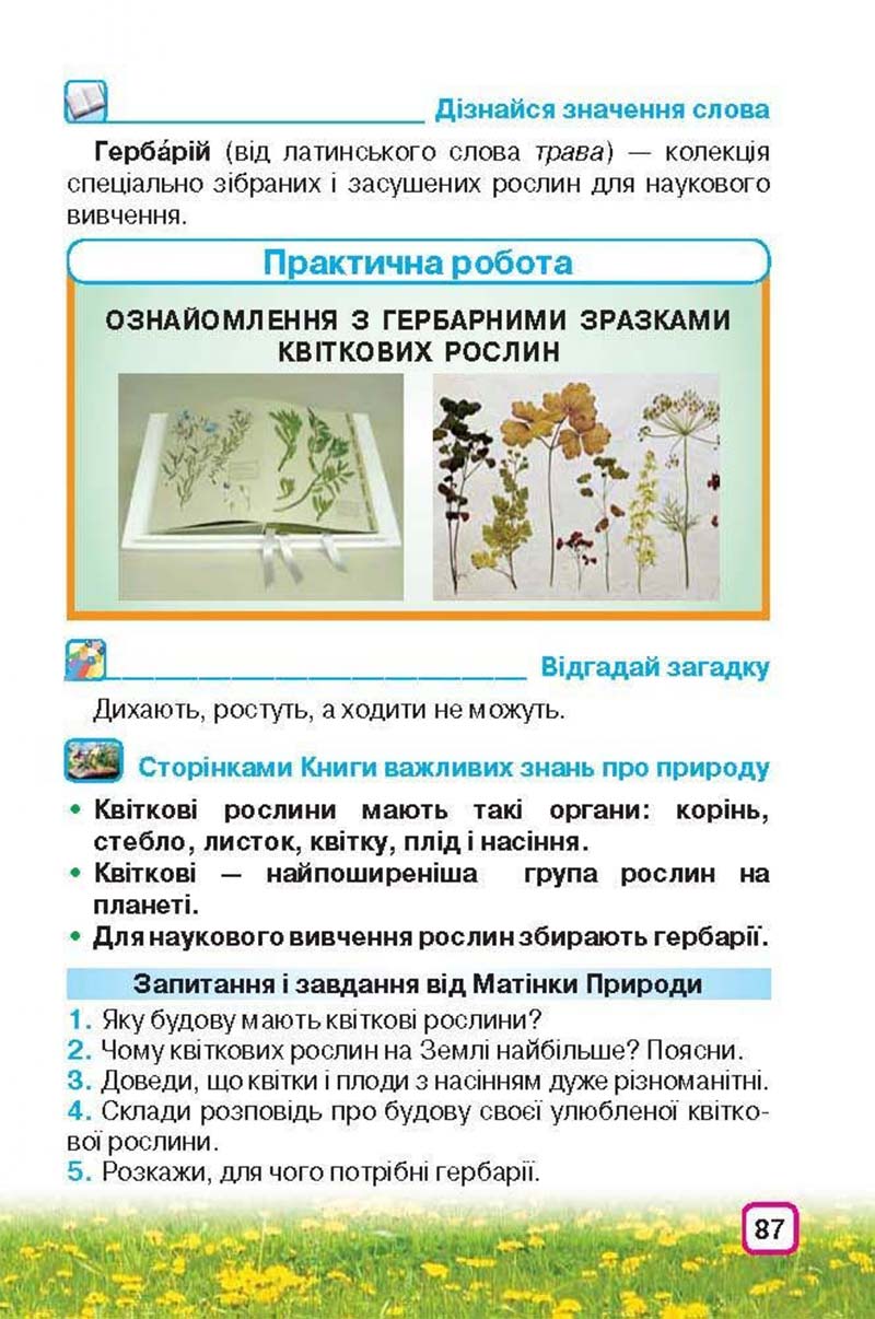 Сторінка 87 - Підручник Природознавство 3 клас І.В. Грущинська 2013
