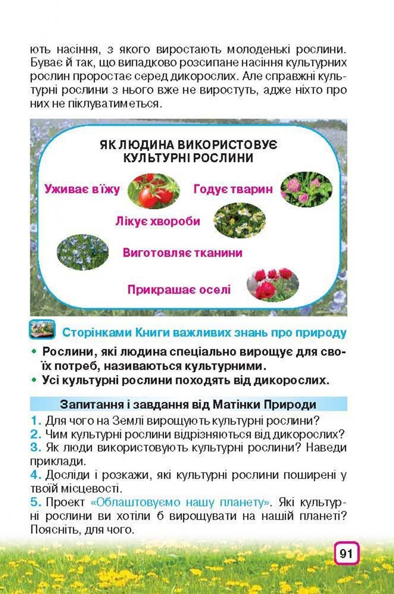 Сторінка 91 - Підручник Природознавство 3 клас І.В. Грущинська 2013