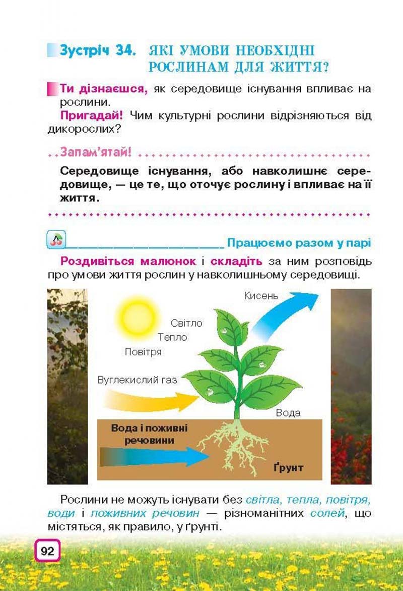 Сторінка 92 - Підручник Природознавство 3 клас І.В. Грущинська 2013