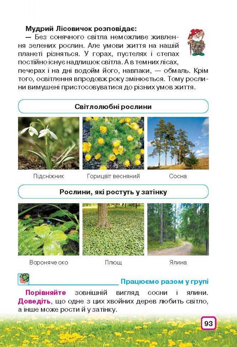 Сторінка 93 - Підручник Природознавство 3 клас І.В. Грущинська 2013