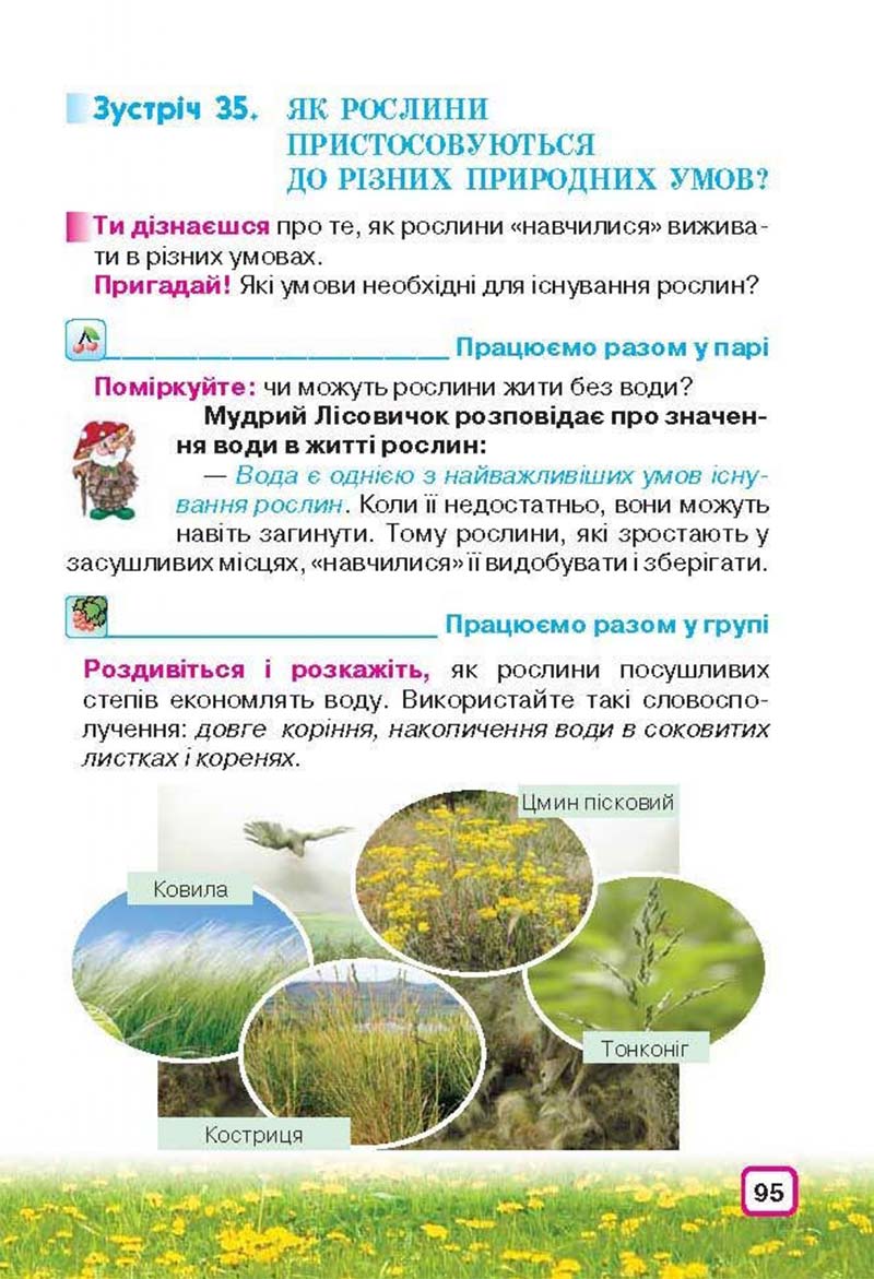 Сторінка 95 - Підручник Природознавство 3 клас І.В. Грущинська 2013