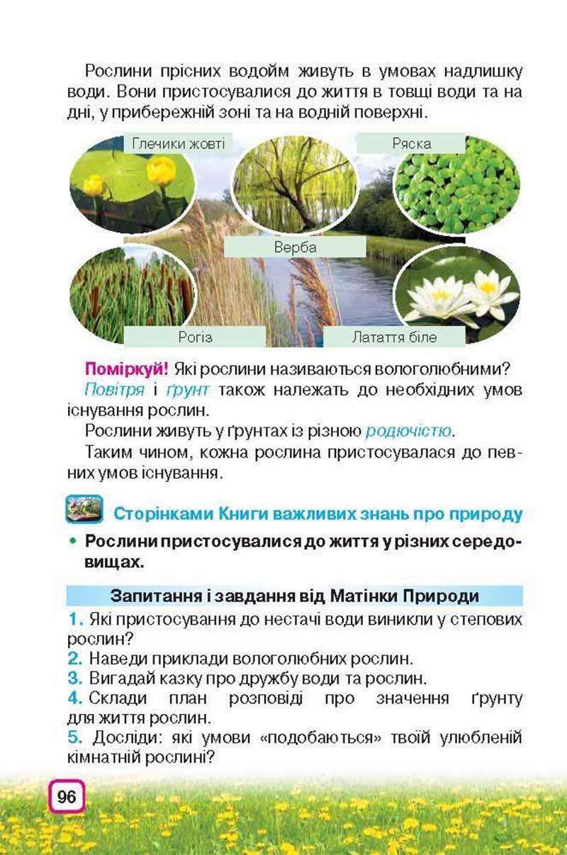 Сторінка 96 - Підручник Природознавство 3 клас І.В. Грущинська 2013
