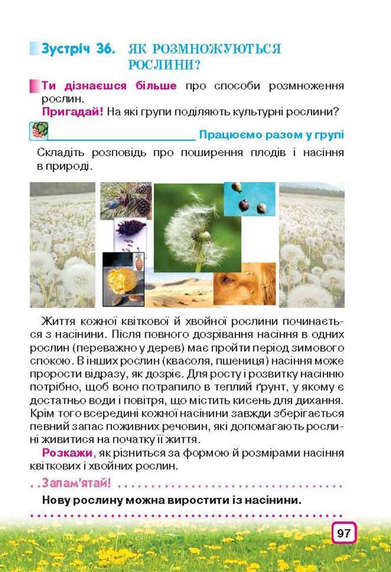 Сторінка 97 - Підручник Природознавство 3 клас І.В. Грущинська 2013