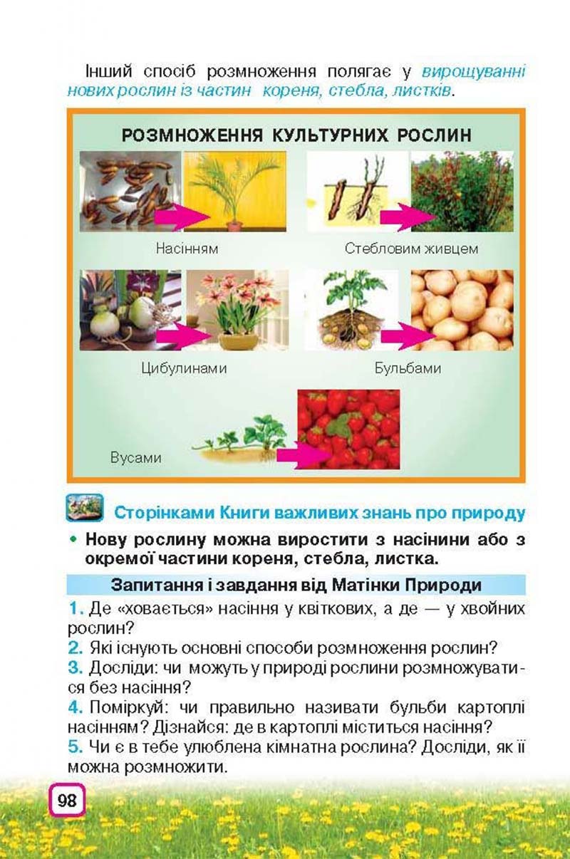 Сторінка 98 - Підручник Природознавство 3 клас І.В. Грущинська 2013