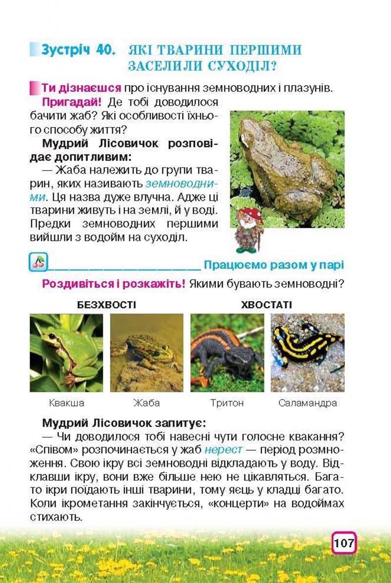 Сторінка 107 - Підручник Природознавство 3 клас І.В. Грущинська 2013