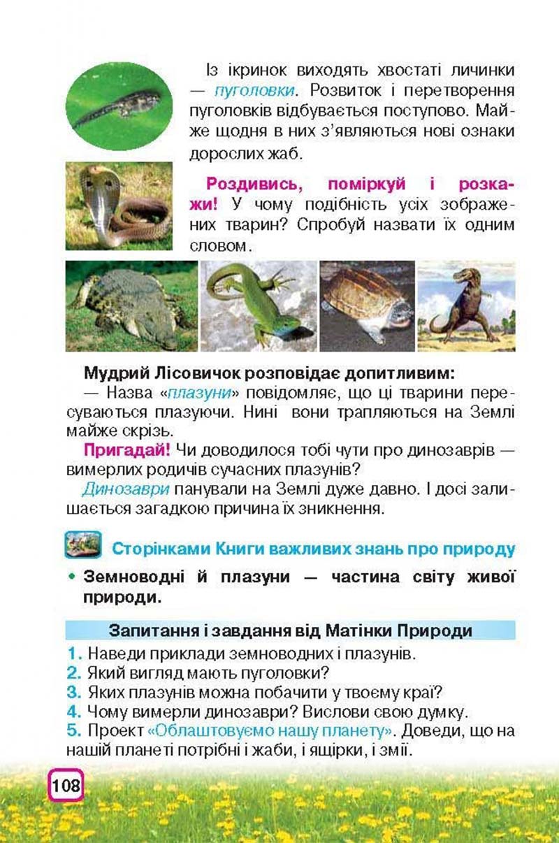 Сторінка 108 - Підручник Природознавство 3 клас І.В. Грущинська 2013