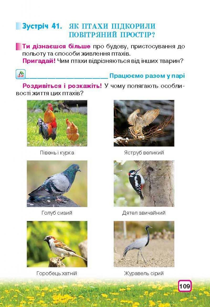 Сторінка 109 - Підручник Природознавство 3 клас І.В. Грущинська 2013