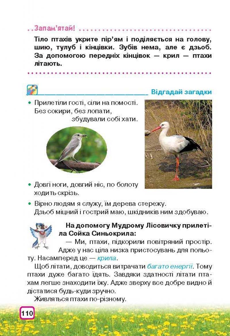 Сторінка 110 - Підручник Природознавство 3 клас І.В. Грущинська 2013