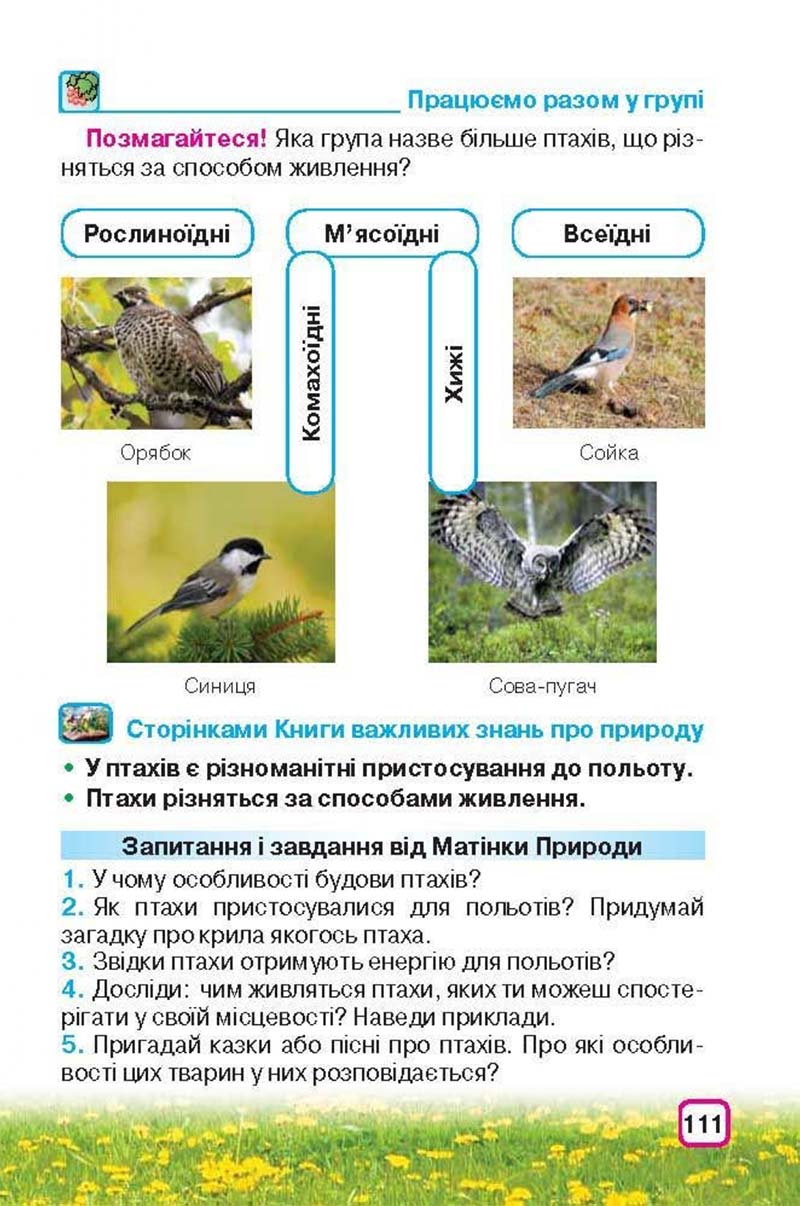 Сторінка 111 - Підручник Природознавство 3 клас І.В. Грущинська 2013