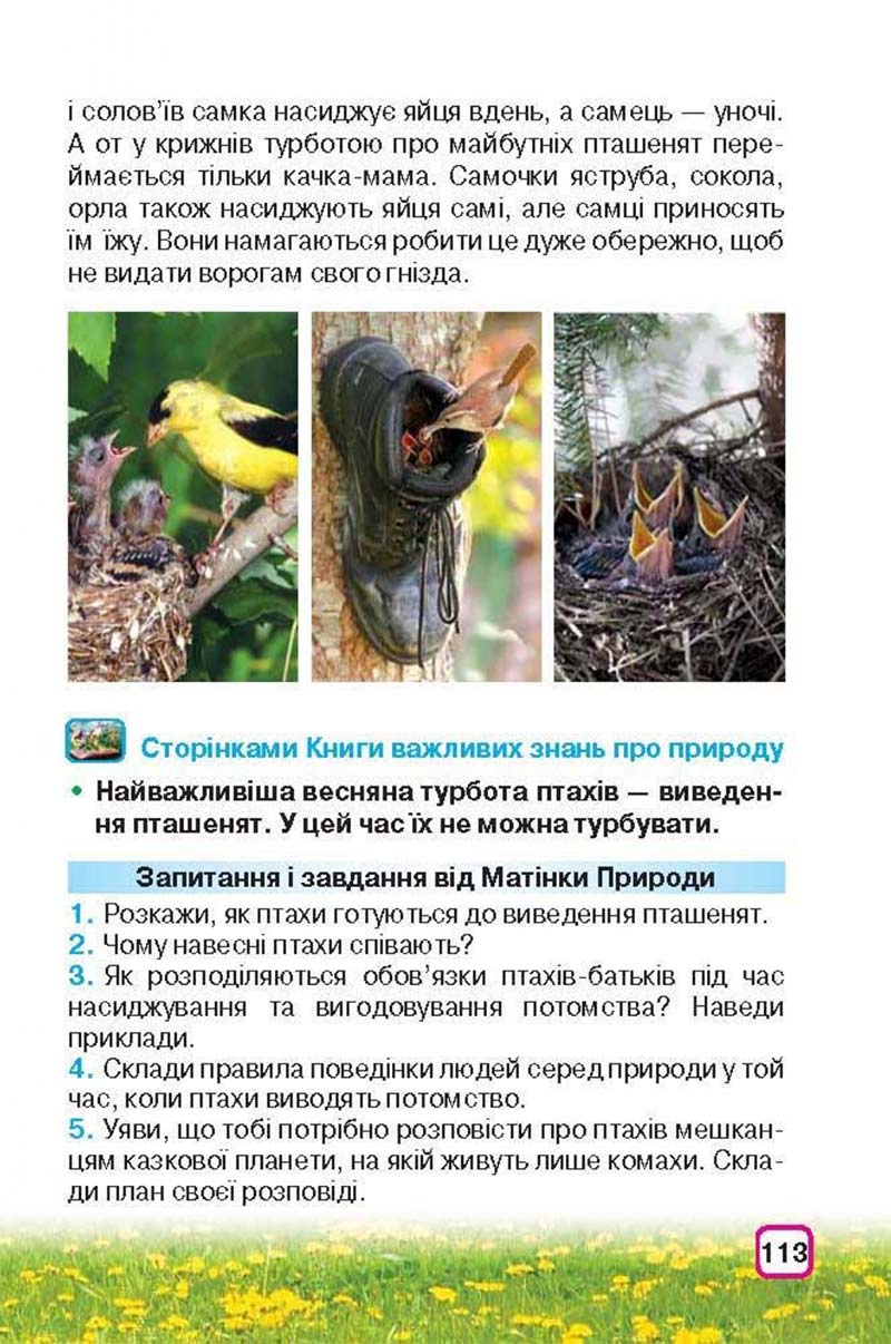 Сторінка 113 - Підручник Природознавство 3 клас І.В. Грущинська 2013