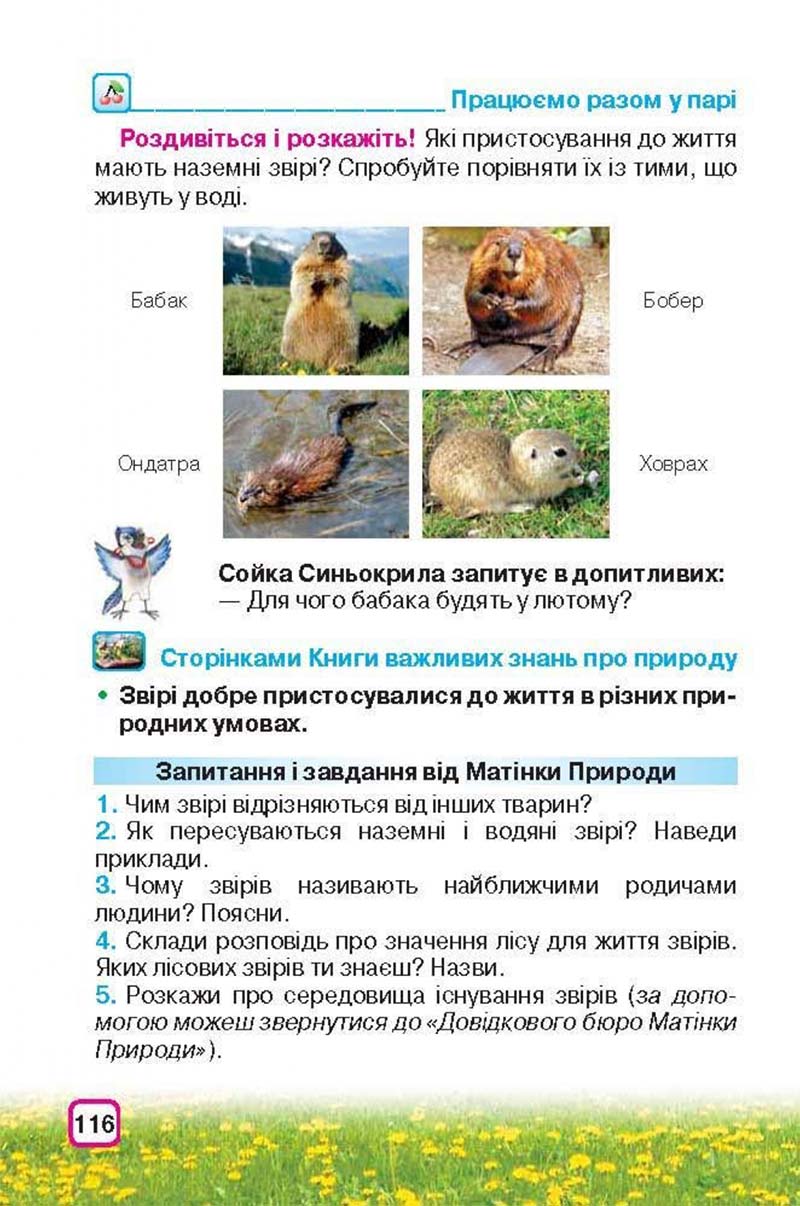 Сторінка 116 - Підручник Природознавство 3 клас І.В. Грущинська 2013