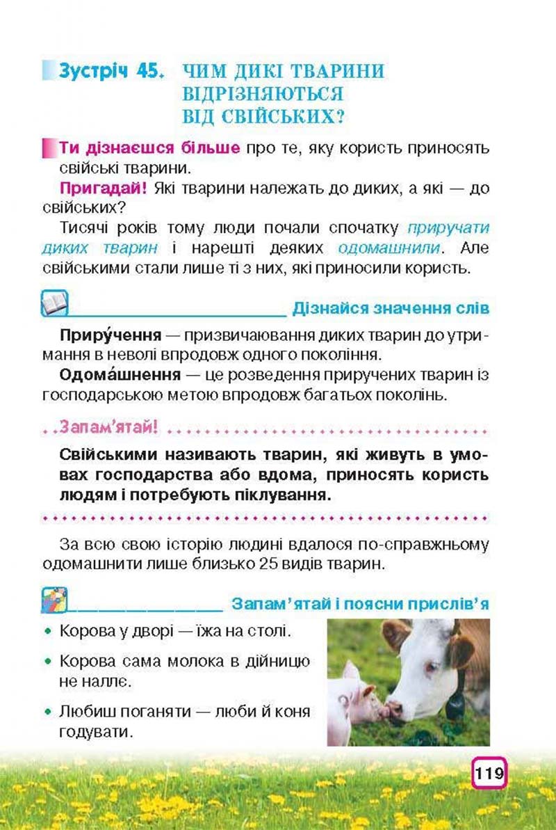 Сторінка 119 - Підручник Природознавство 3 клас І.В. Грущинська 2013