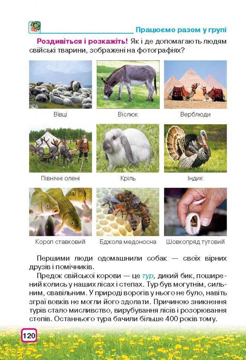 Сторінка 120 - Підручник Природознавство 3 клас І.В. Грущинська 2013