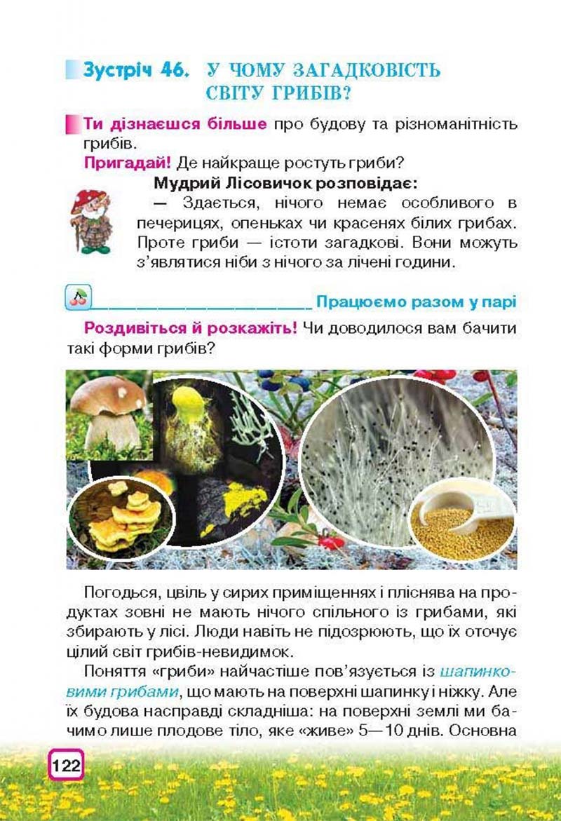Сторінка 122 - Підручник Природознавство 3 клас І.В. Грущинська 2013
