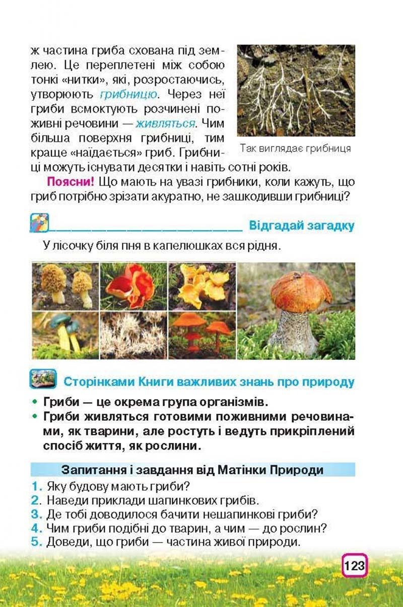 Сторінка 123 - Підручник Природознавство 3 клас І.В. Грущинська 2013