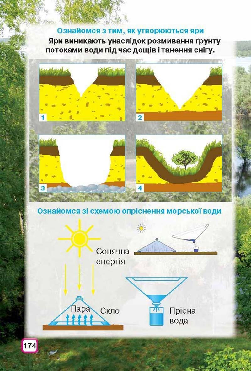 Сторінка 174 - Підручник Природознавство 3 клас І.В. Грущинська 2013