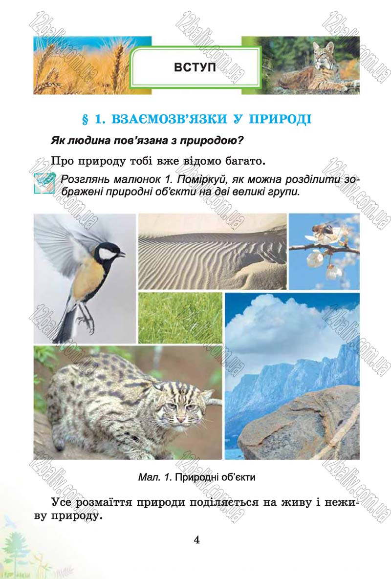 Сторінка 4 - Підручник Природознавство 4 клас Т.Г. Гільберг, Т.В. Сак 2015