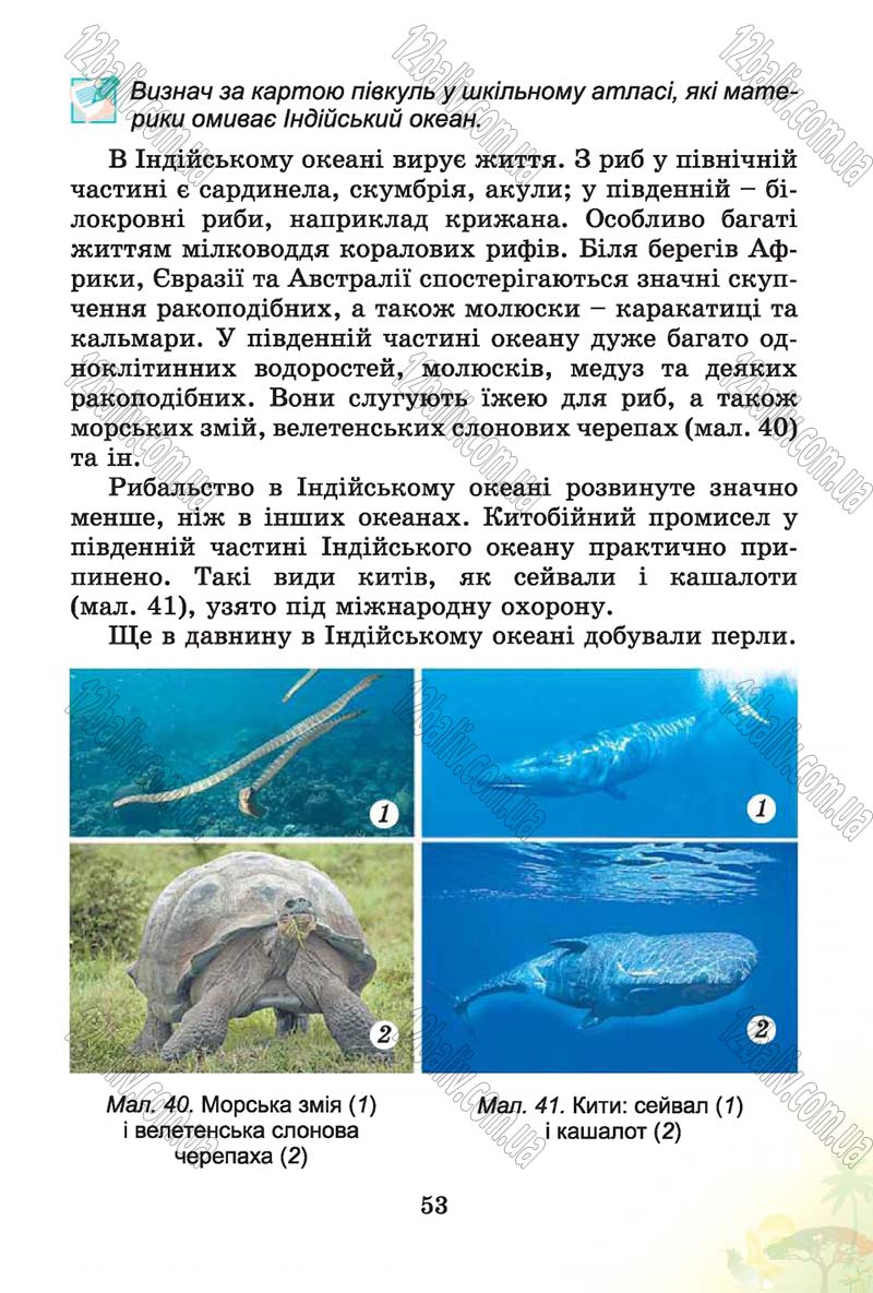Сторінка 53 - Підручник Природознавство 4 клас Т.Г. Гільберг, Т.В. Сак 2015