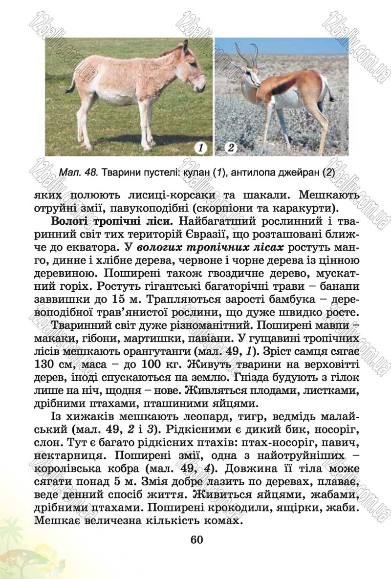 Сторінка 60 - Підручник Природознавство 4 клас Т.Г. Гільберг, Т.В. Сак 2015