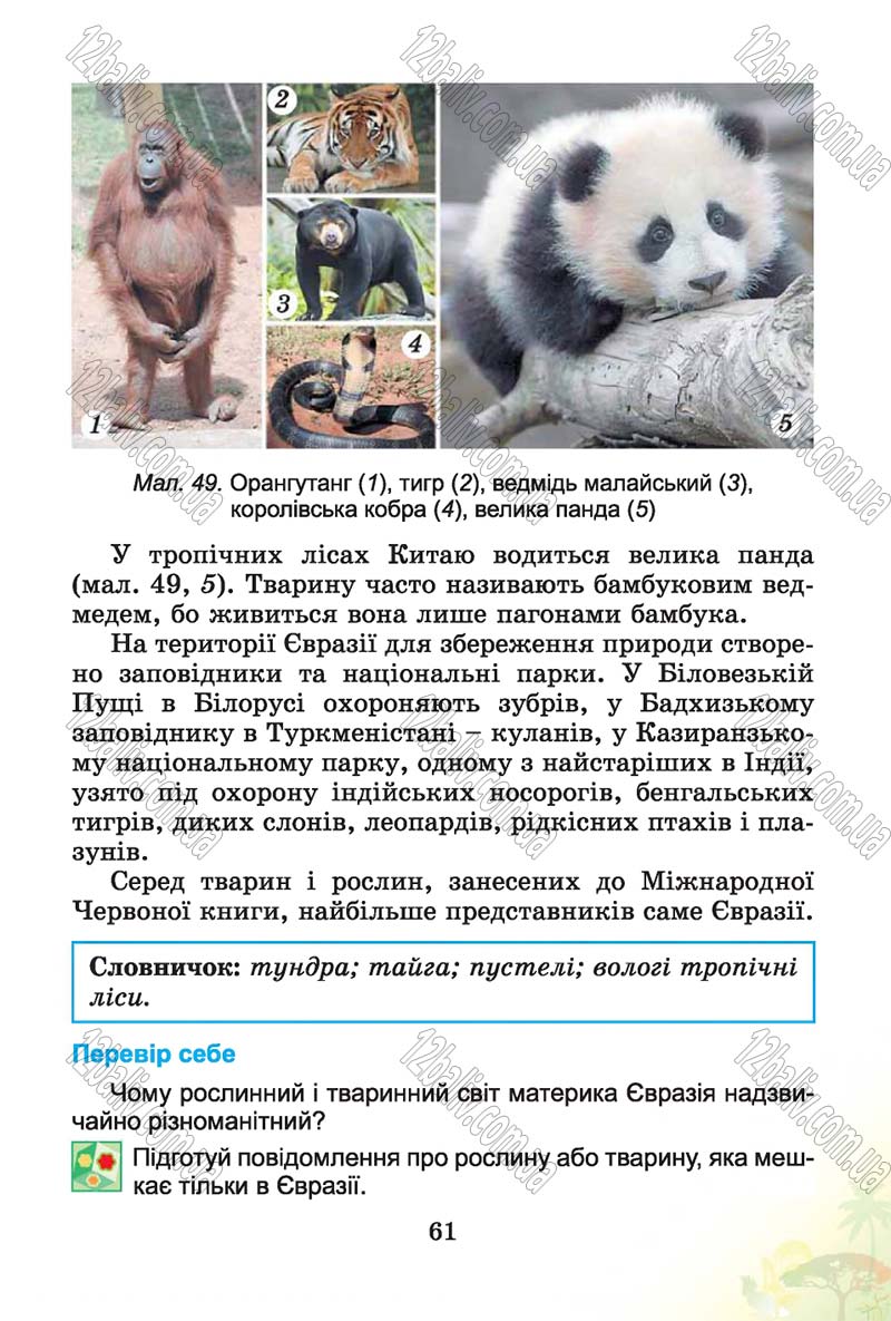Сторінка 61 - Підручник Природознавство 4 клас Т.Г. Гільберг, Т.В. Сак 2015