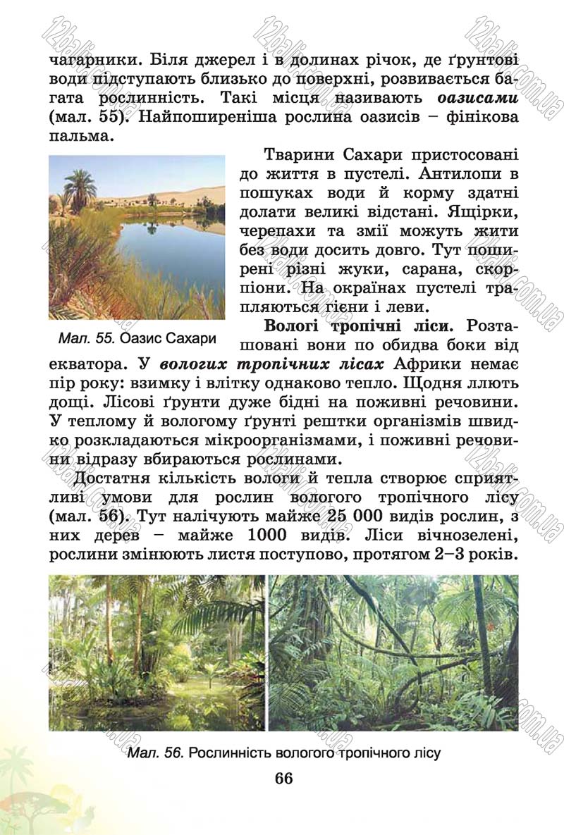 Сторінка 66 - Підручник Природознавство 4 клас Т.Г. Гільберг, Т.В. Сак 2015