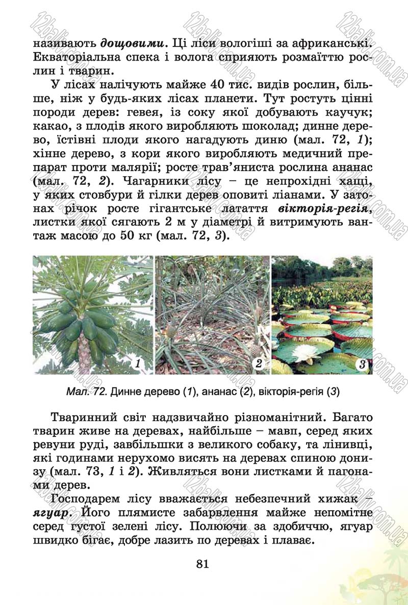 Сторінка 81 - Підручник Природознавство 4 клас Т.Г. Гільберг, Т.В. Сак 2015