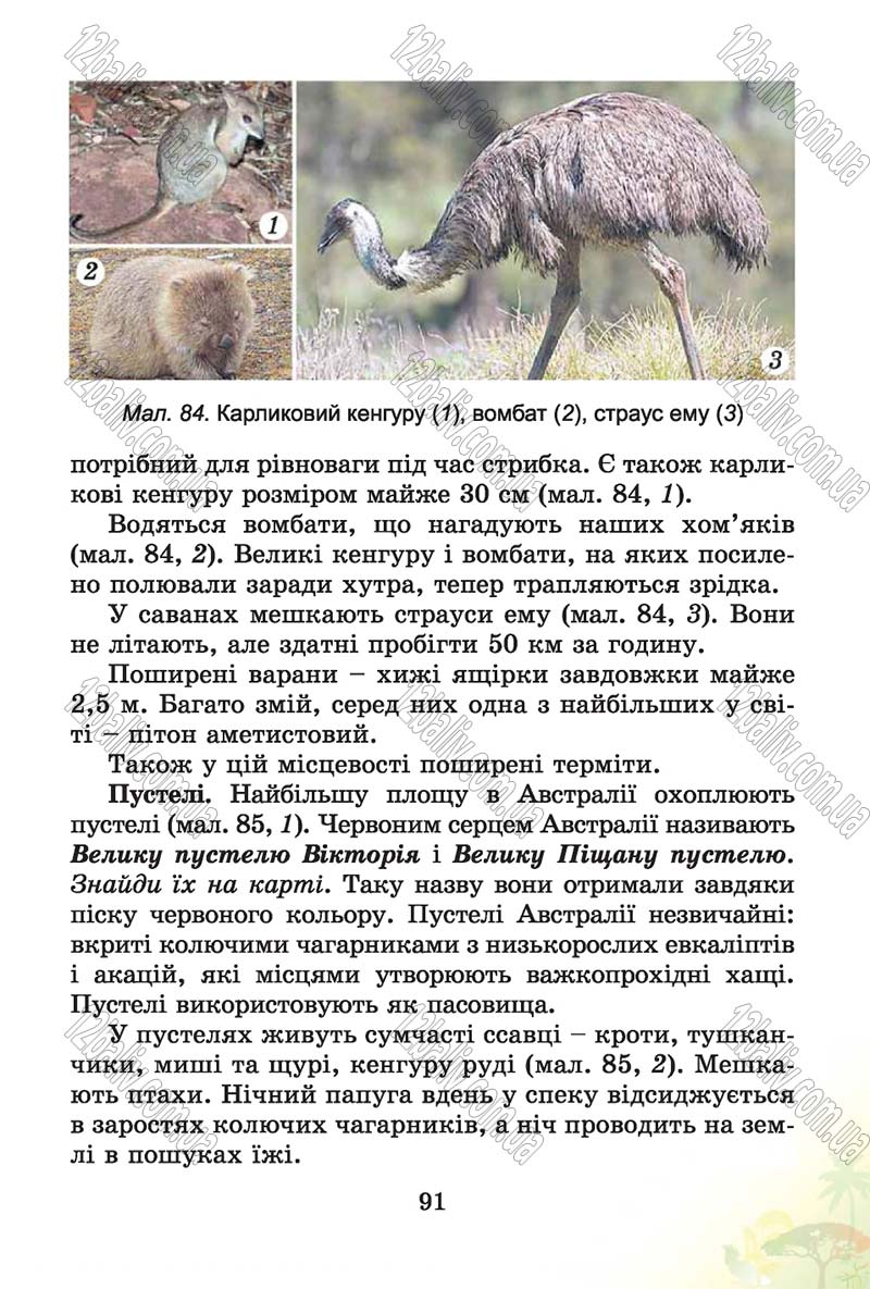 Сторінка 91 - Підручник Природознавство 4 клас Т.Г. Гільберг, Т.В. Сак 2015