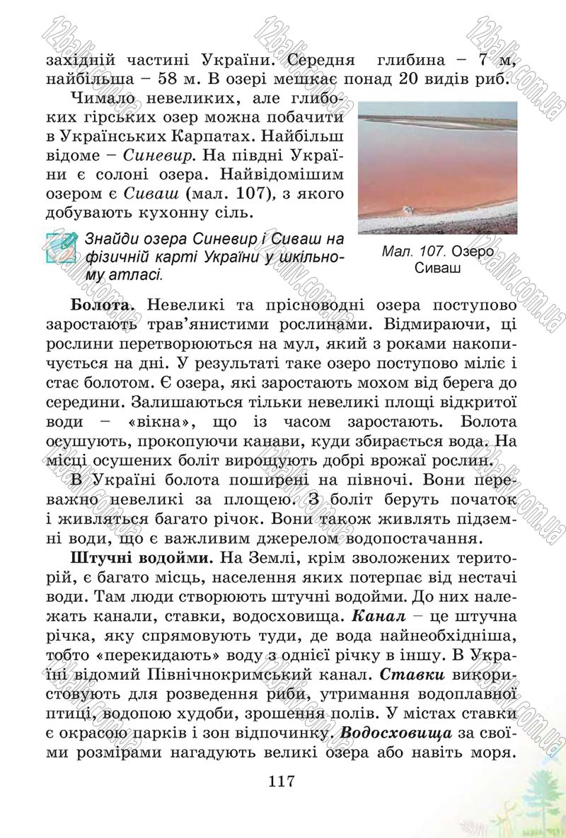 Сторінка 117 - Підручник Природознавство 4 клас Т.Г. Гільберг, Т.В. Сак 2015