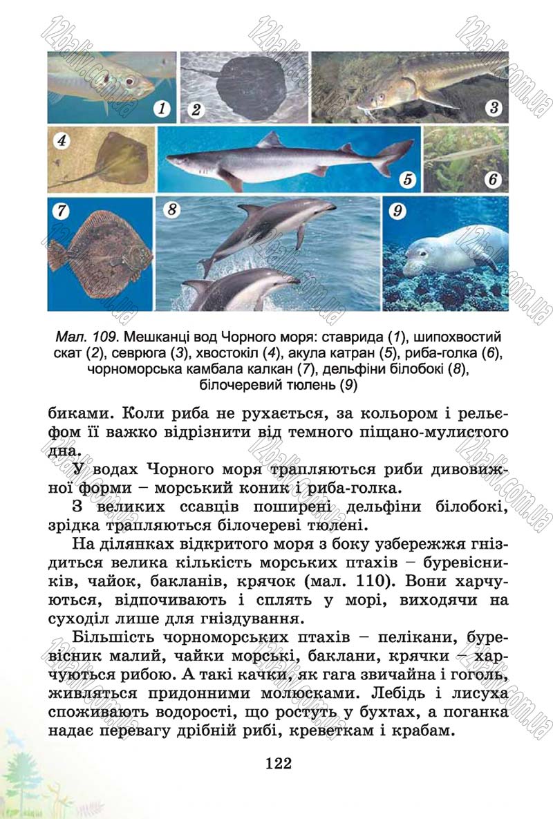 Сторінка 122 - Підручник Природознавство 4 клас Т.Г. Гільберг, Т.В. Сак 2015