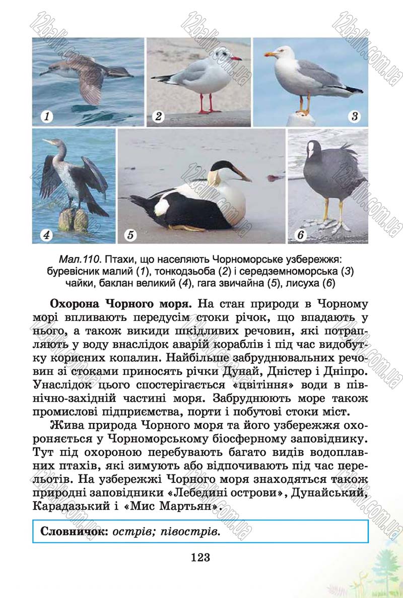 Сторінка 123 - Підручник Природознавство 4 клас Т.Г. Гільберг, Т.В. Сак 2015