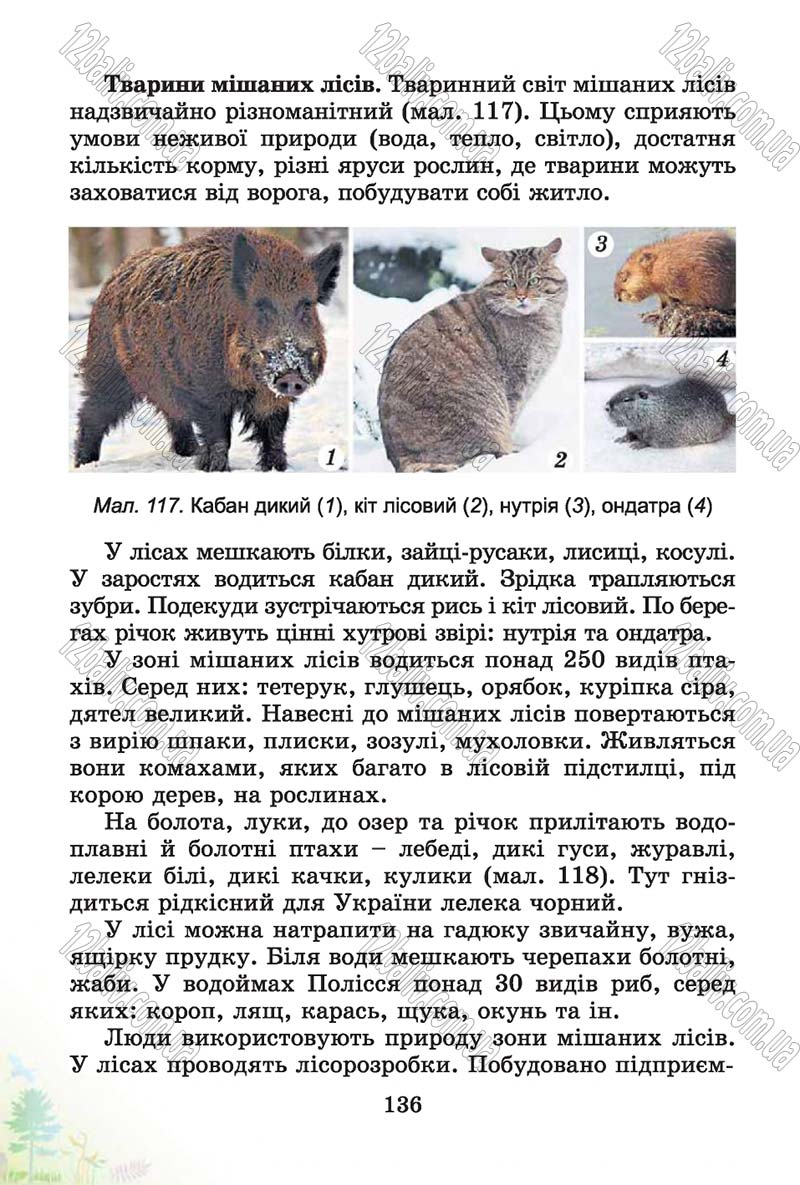 Сторінка 136 - Підручник Природознавство 4 клас Т.Г. Гільберг, Т.В. Сак 2015