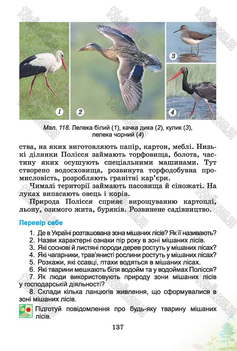 Сторінка 137 - Підручник Природознавство 4 клас Т.Г. Гільберг, Т.В. Сак 2015