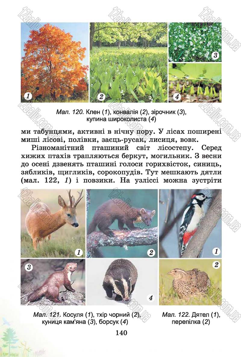 Сторінка 140 - Підручник Природознавство 4 клас Т.Г. Гільберг, Т.В. Сак 2015