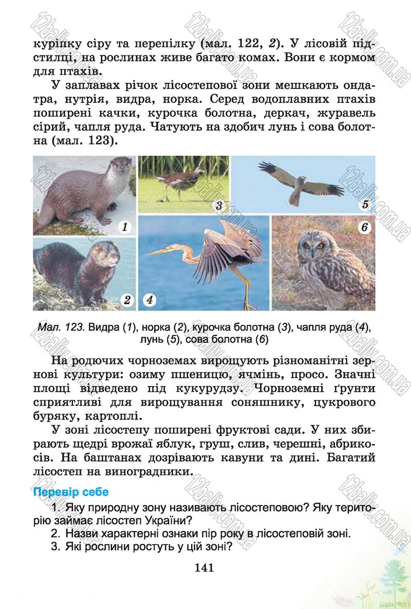 Сторінка 141 - Підручник Природознавство 4 клас Т.Г. Гільберг, Т.В. Сак 2015