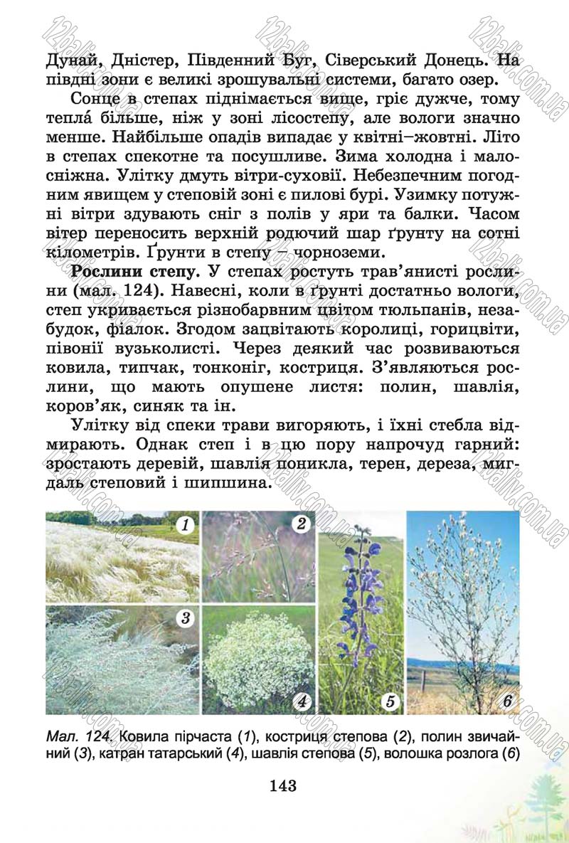 Сторінка 143 - Підручник Природознавство 4 клас Т.Г. Гільберг, Т.В. Сак 2015