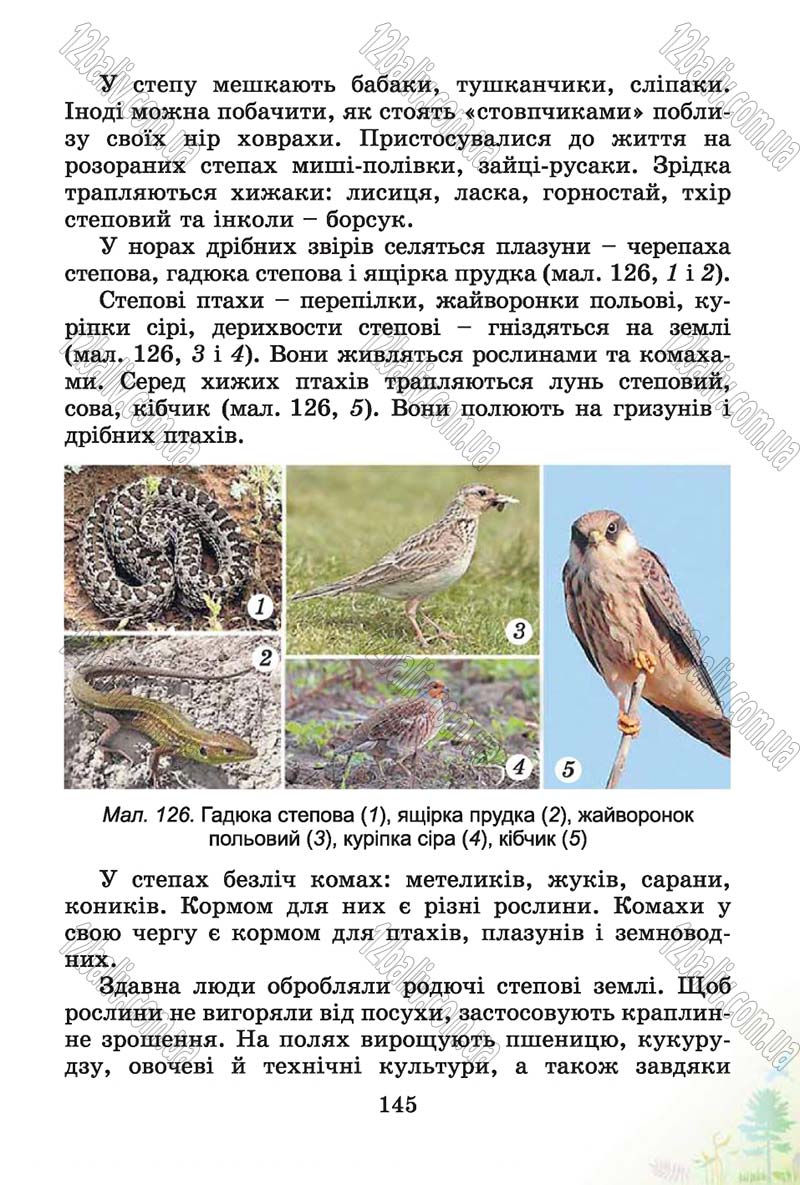Сторінка 145 - Підручник Природознавство 4 клас Т.Г. Гільберг, Т.В. Сак 2015