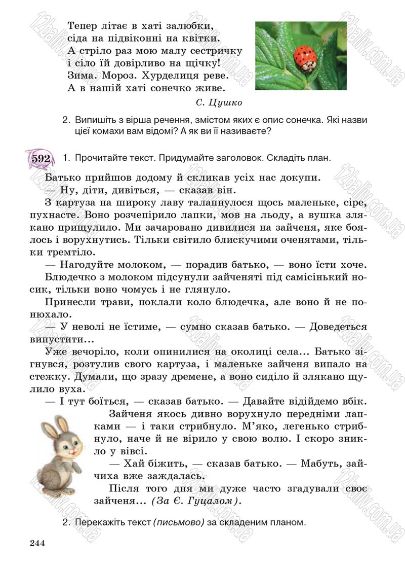Сторінка 244 - Підручник Українська мова 5 клас С.Я. Єрмоленко, В.Т. Сичова 2013