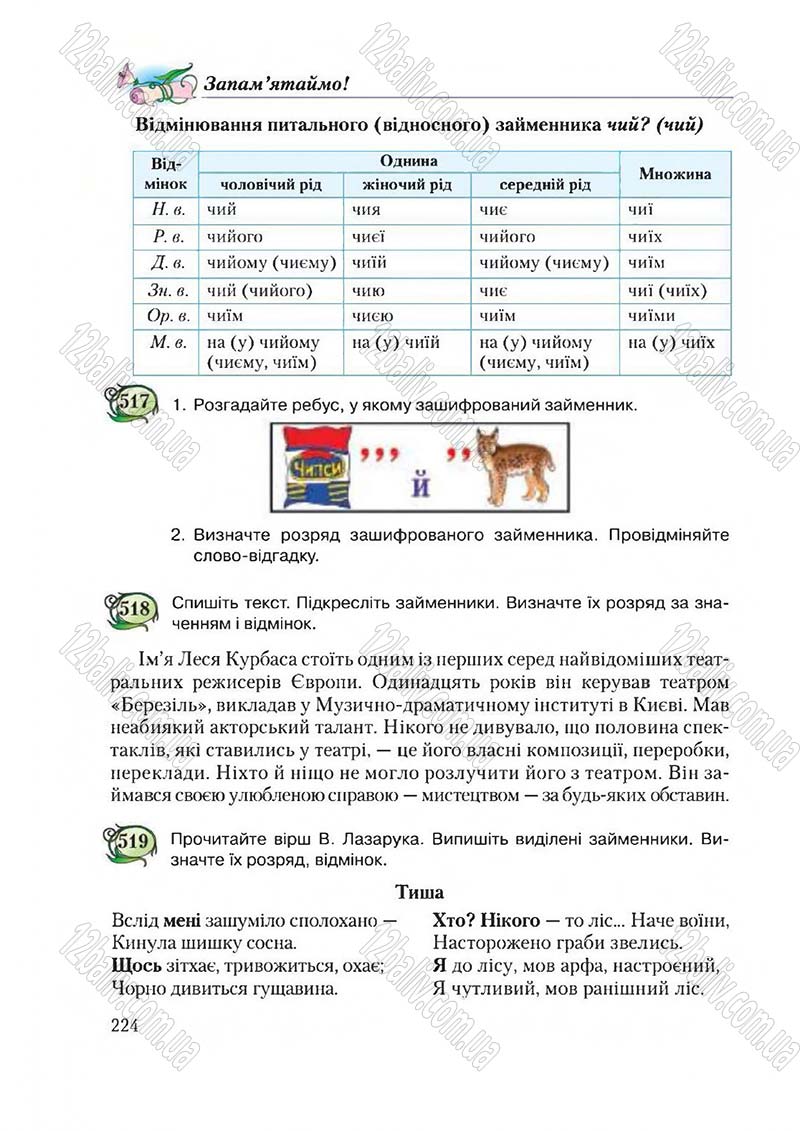 Сторінка 224 - Підручник Українська мова 6 клас Єрмоленко 2014 - скачати онлайн